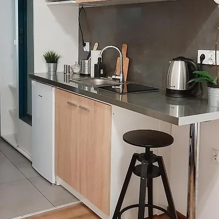 Lion - Laba Apartman Krakkó