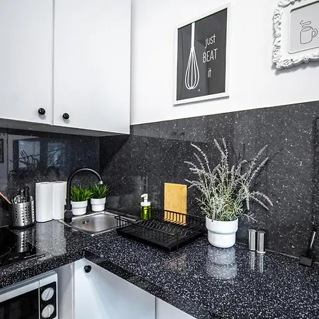 Lion - Laba * Krakow