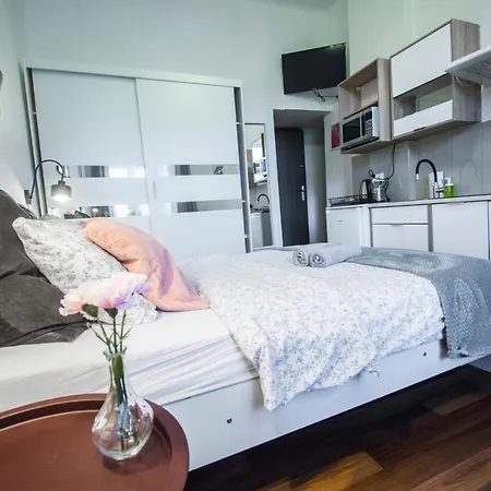 Lion - Laba * Krakow