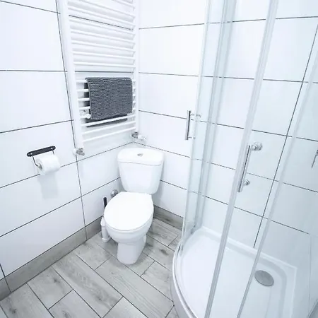 Lion - Laba Krakkó