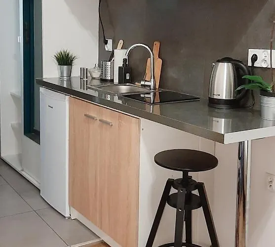 Lion - Laba شقة كراكوفيا