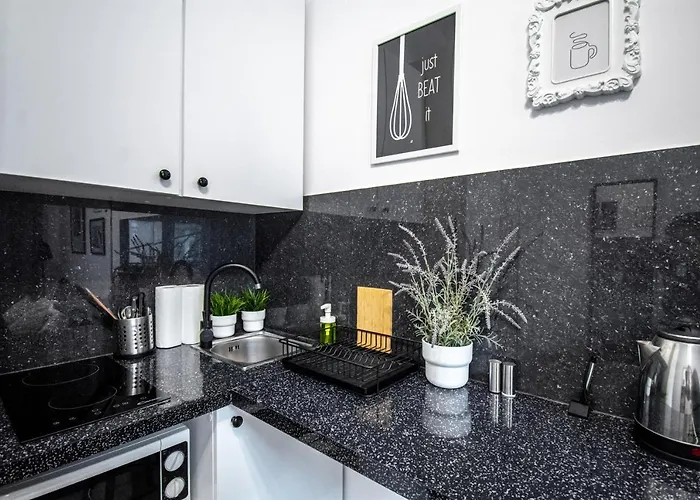 Lion - Laba * Cracóvia