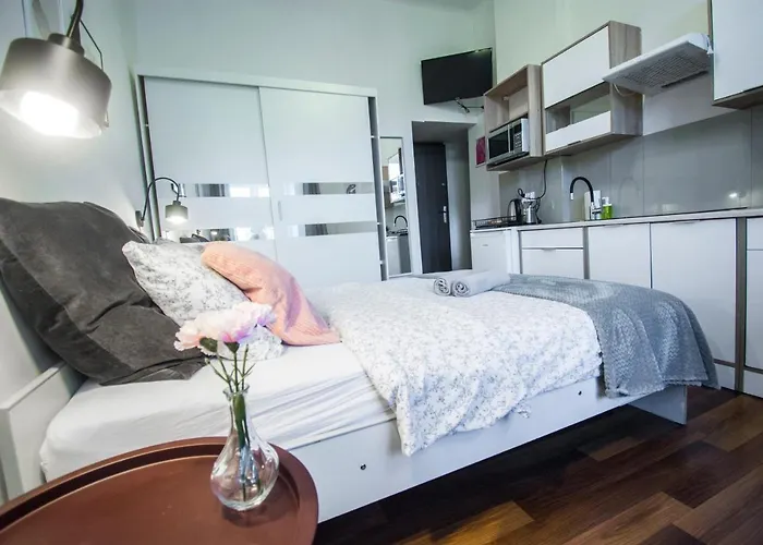 Lion - Laba * Cracóvia