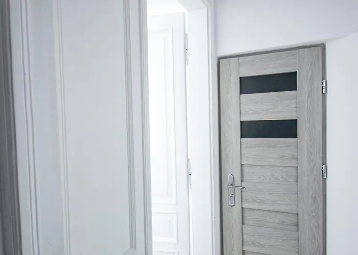 Lion - Laba クラクフ